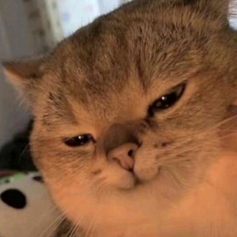 霓虹桃