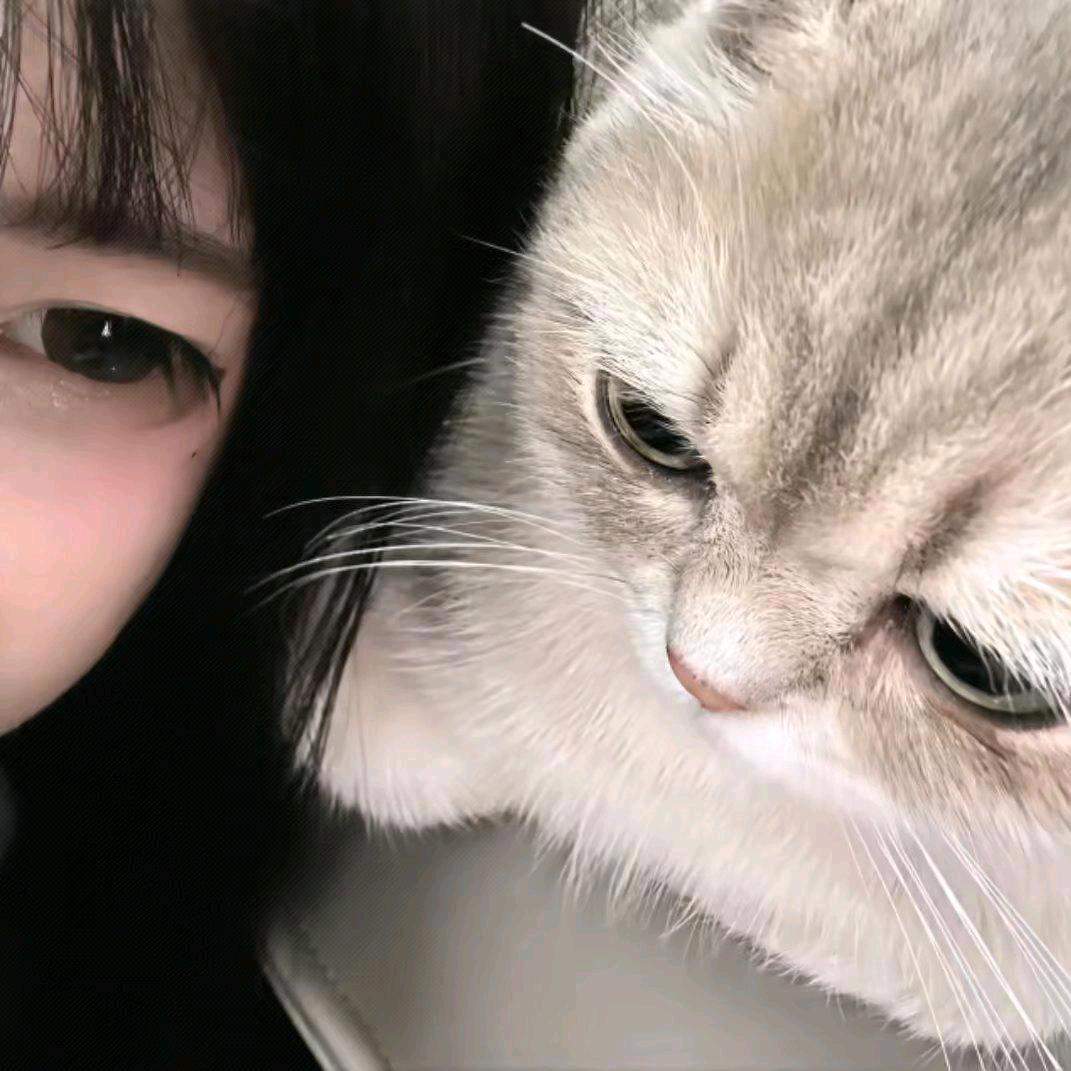 梨花