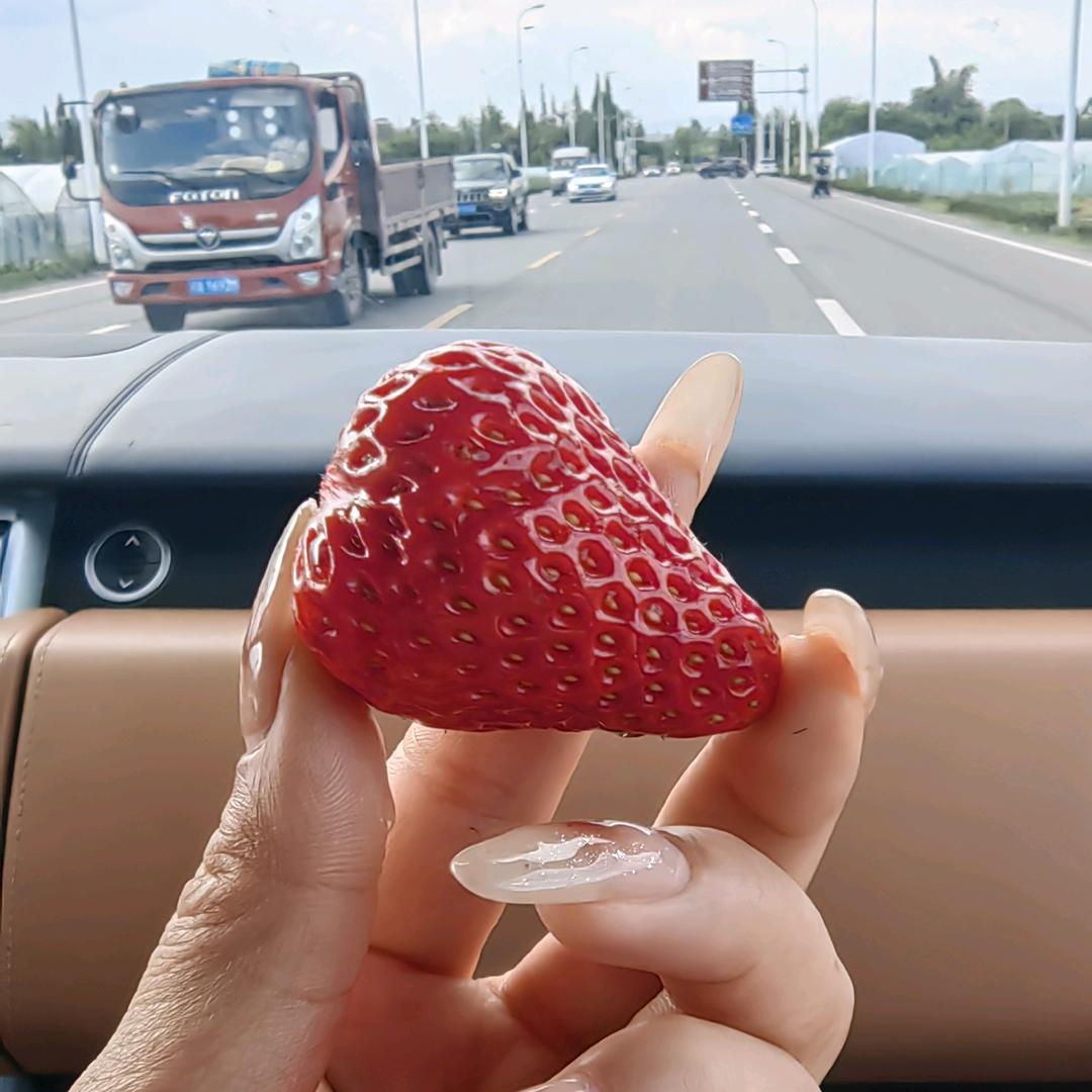 @余小鱼