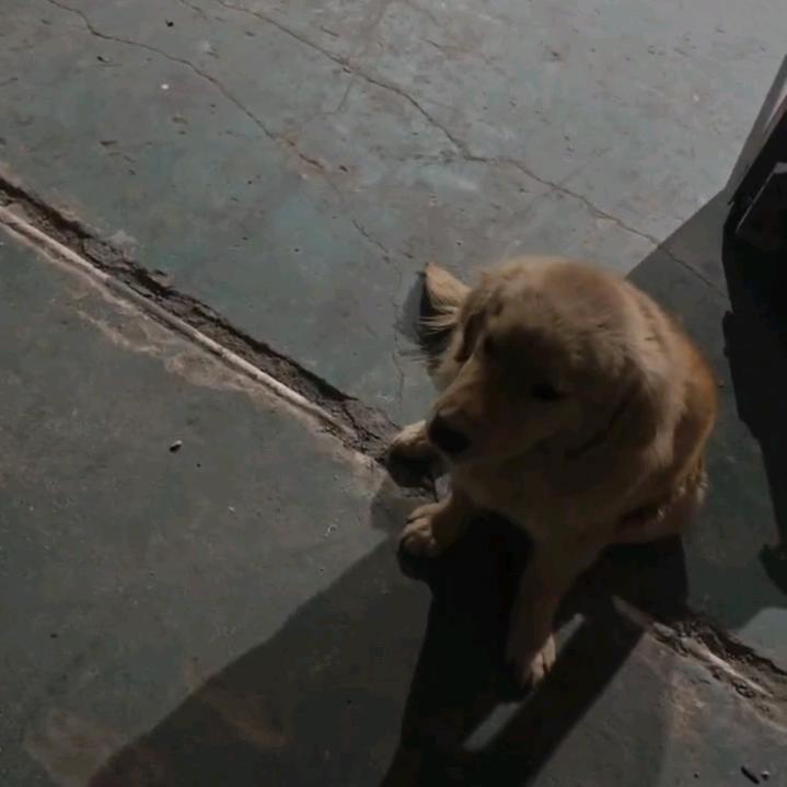 想小七的无数天