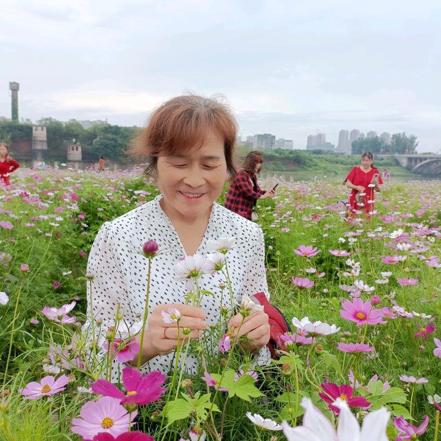 幸运a