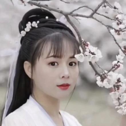 🌺赵🌺哥🌺