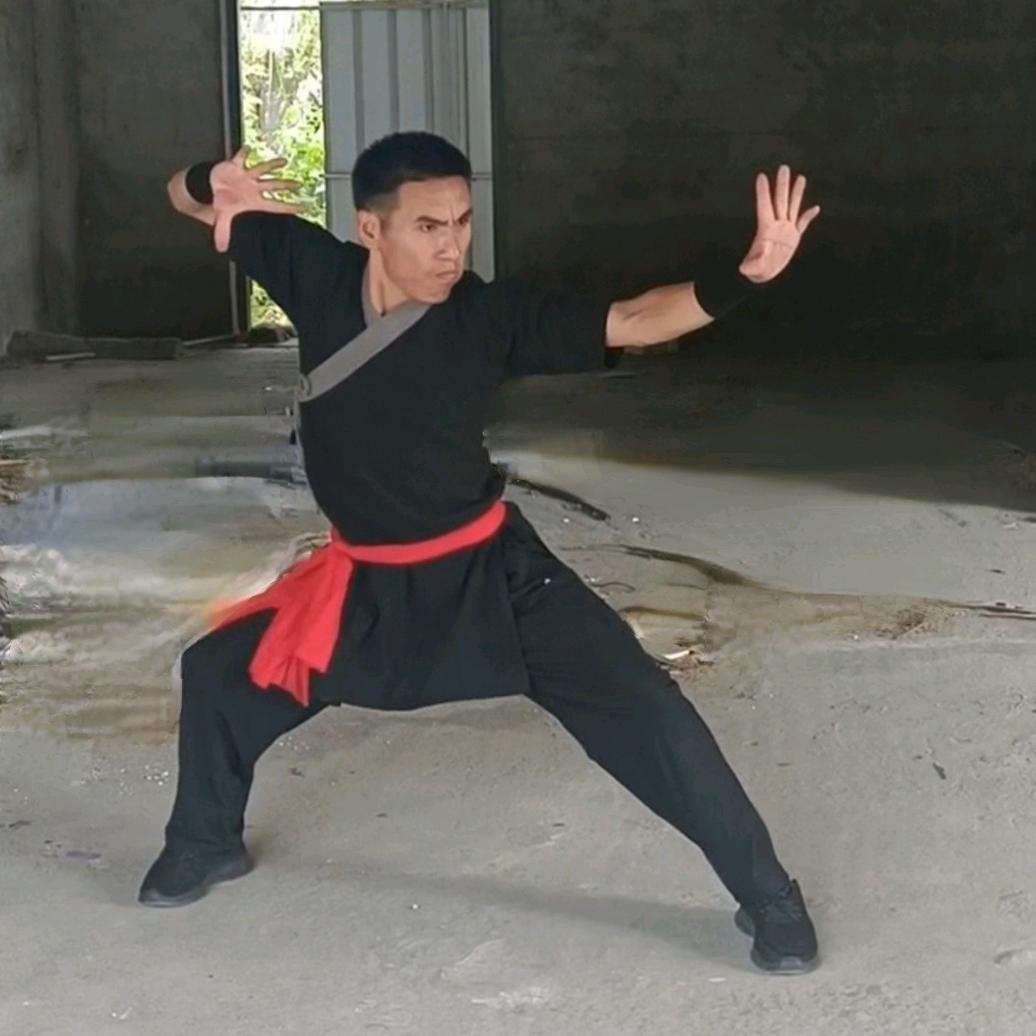 普宁洪涛武馆