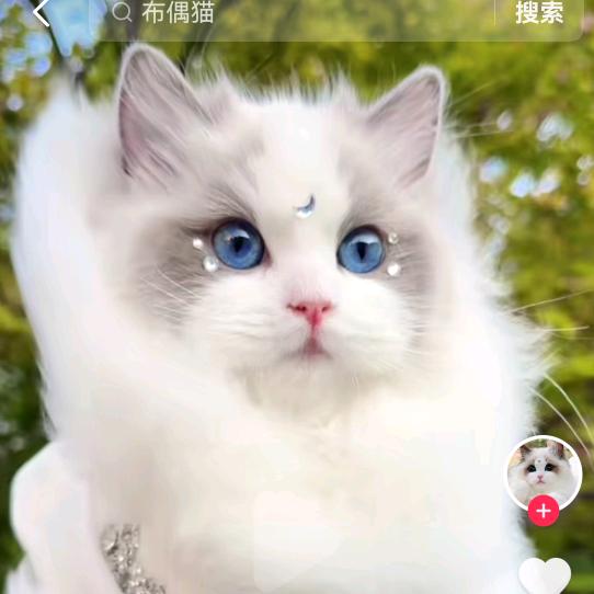 枫·思