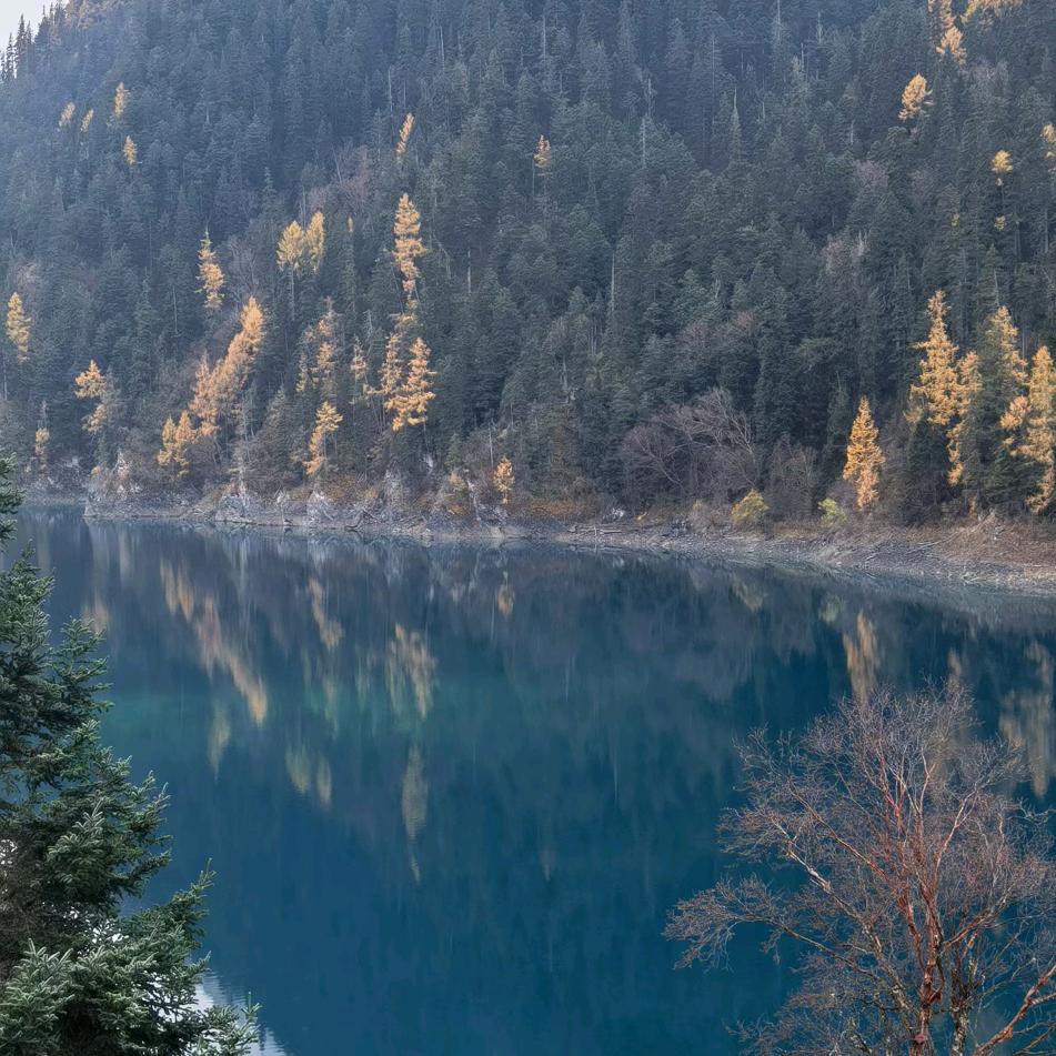 面具人新的开始988