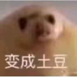变成🥔了