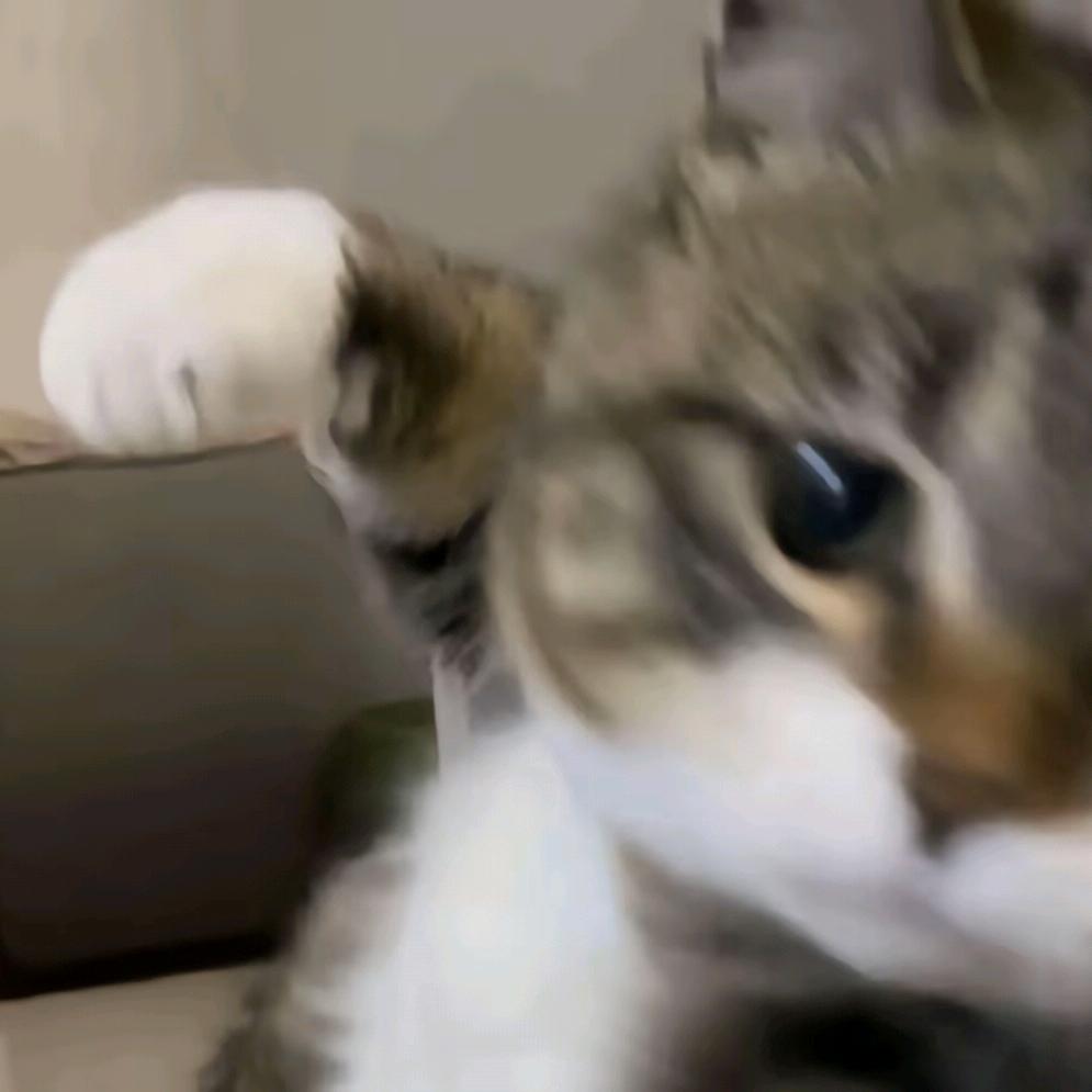 不要给我哇哇叫