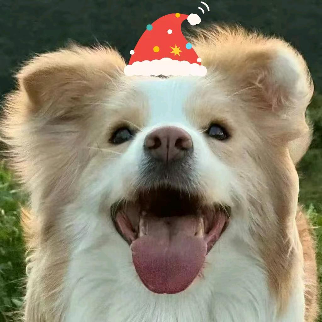 劳苏（三角洲行动）