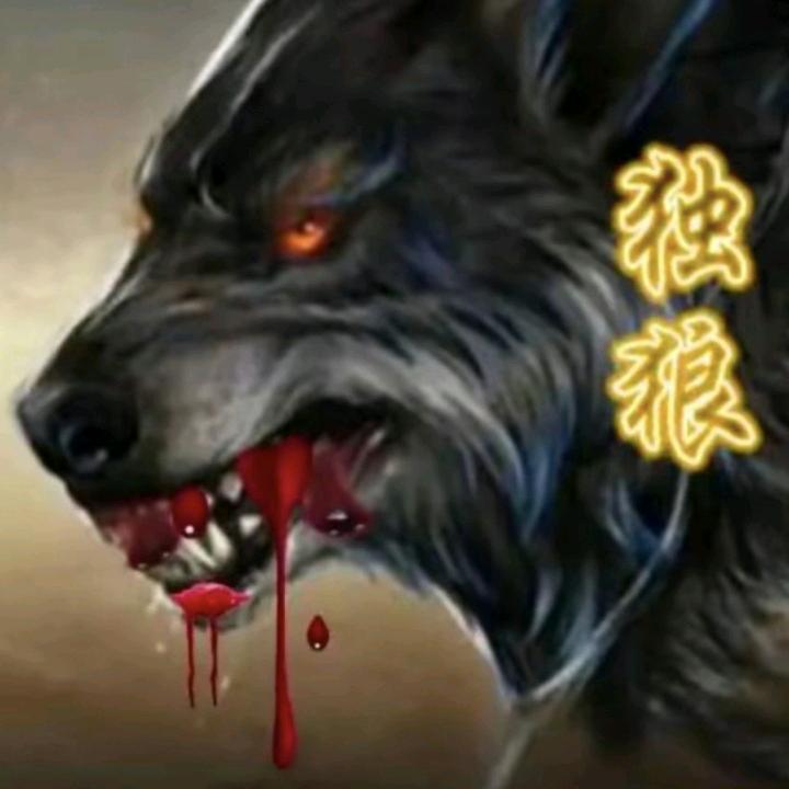 寒江不闻鹧鸪声