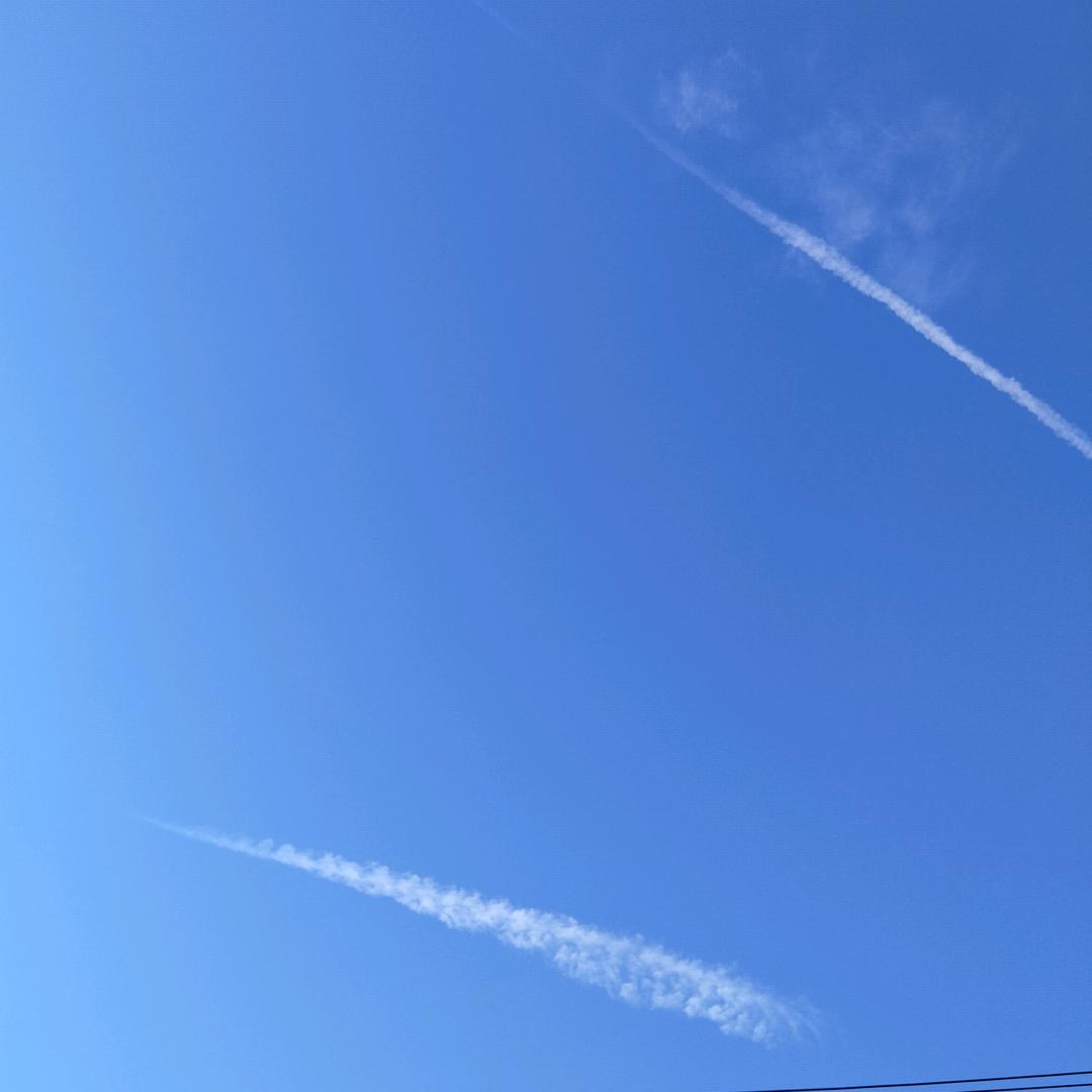 本地人
