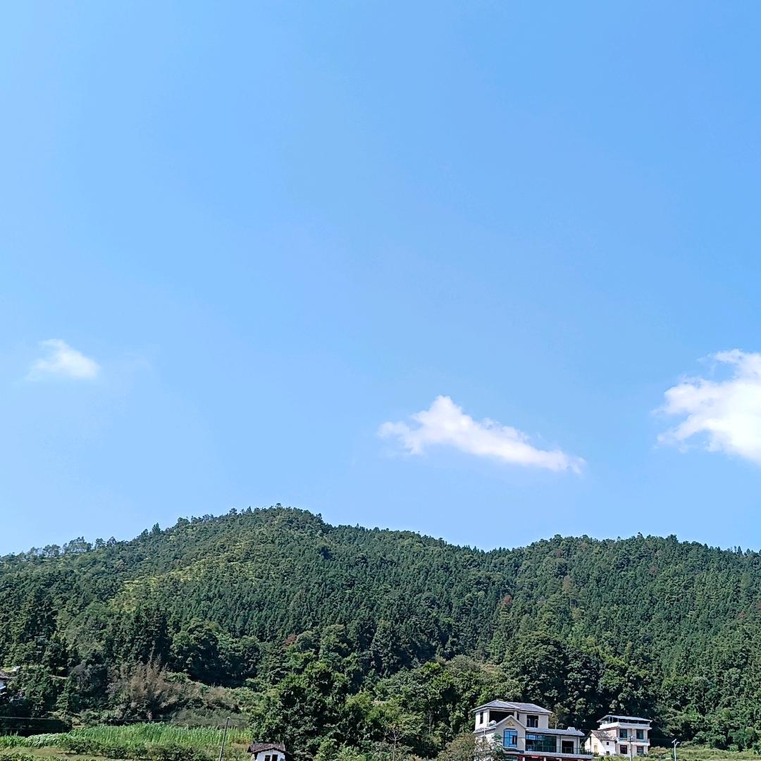 🍃 兜里ᨶ႒ᩚ半颗糖