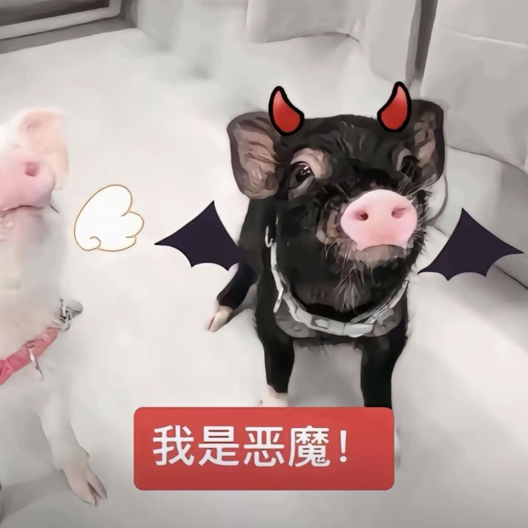 此别