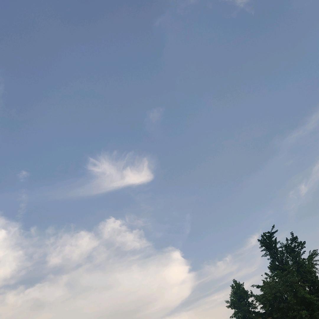 敏琦阿窦