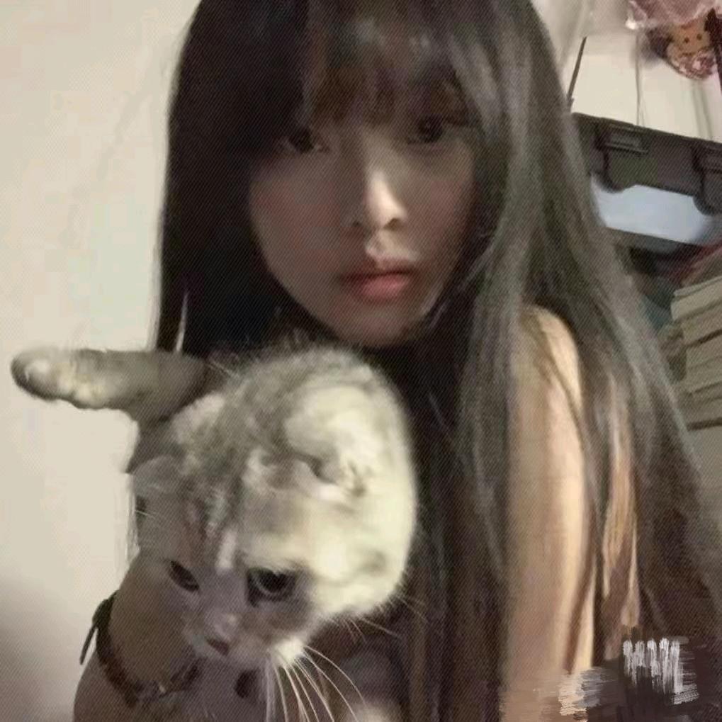 🐰摄影（约拍）
