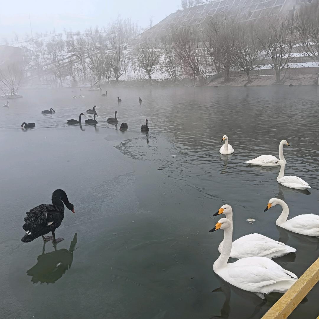 时间可看清一切