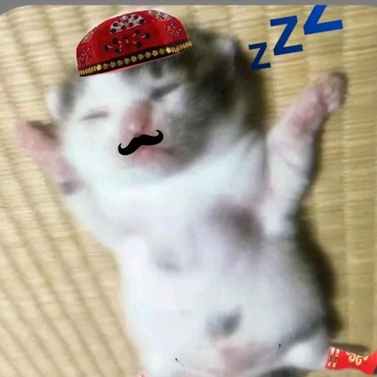 如斯