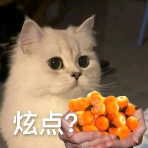 礼拜一