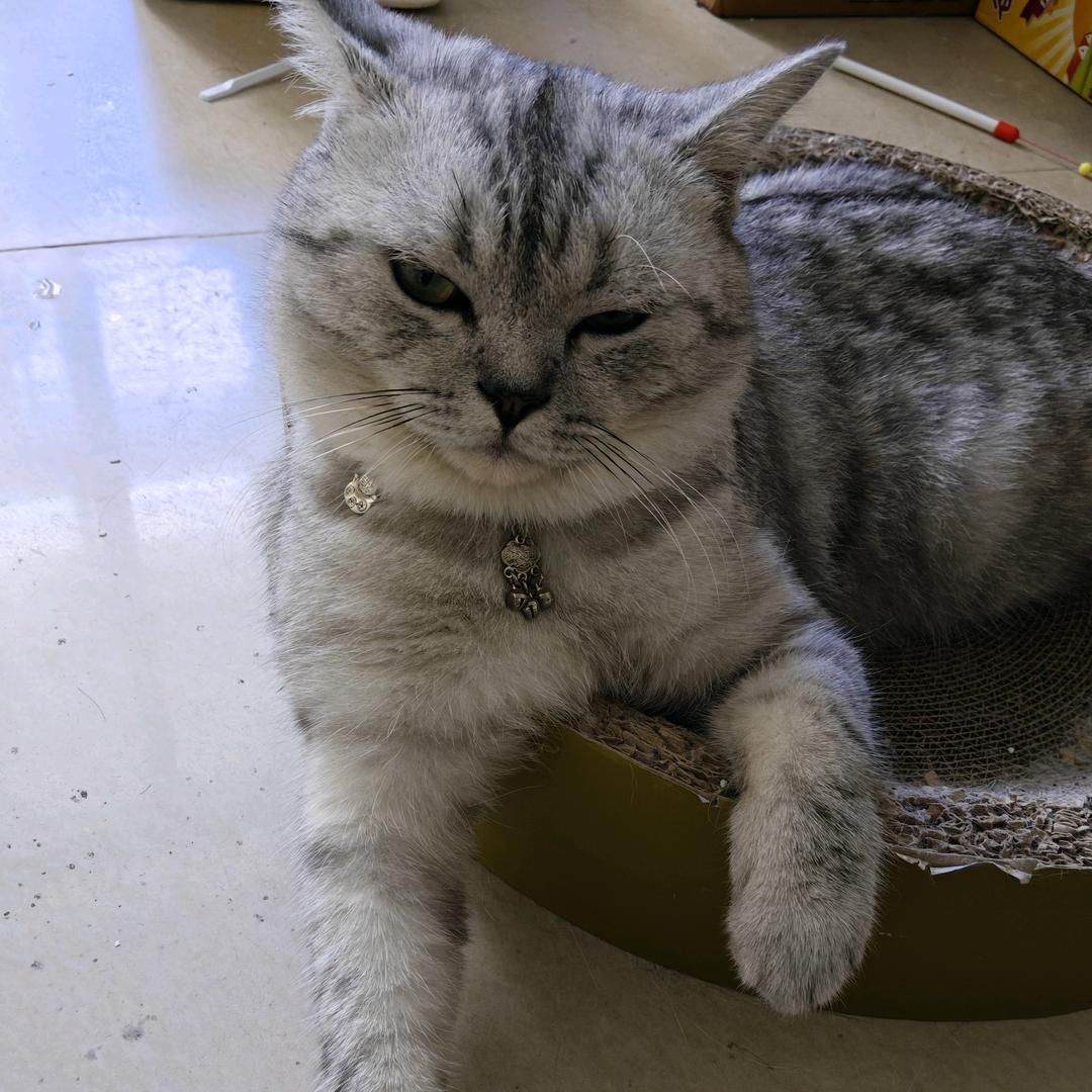 ꧁从此贪财好色꧂