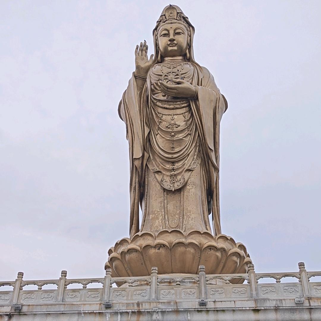 信命٩( 'ω' )و 不认命(ಥ_ಥ)