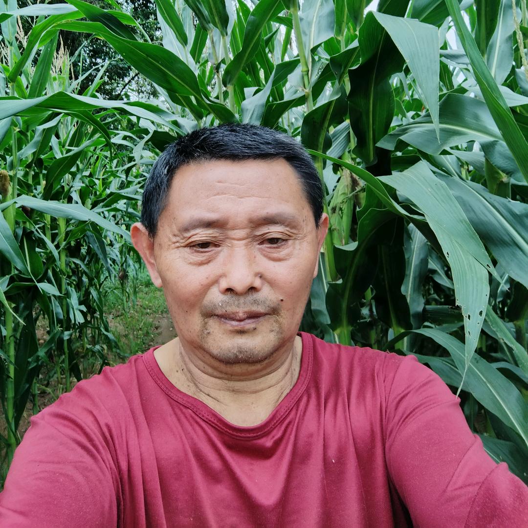 疯哥（早上7.30开播）