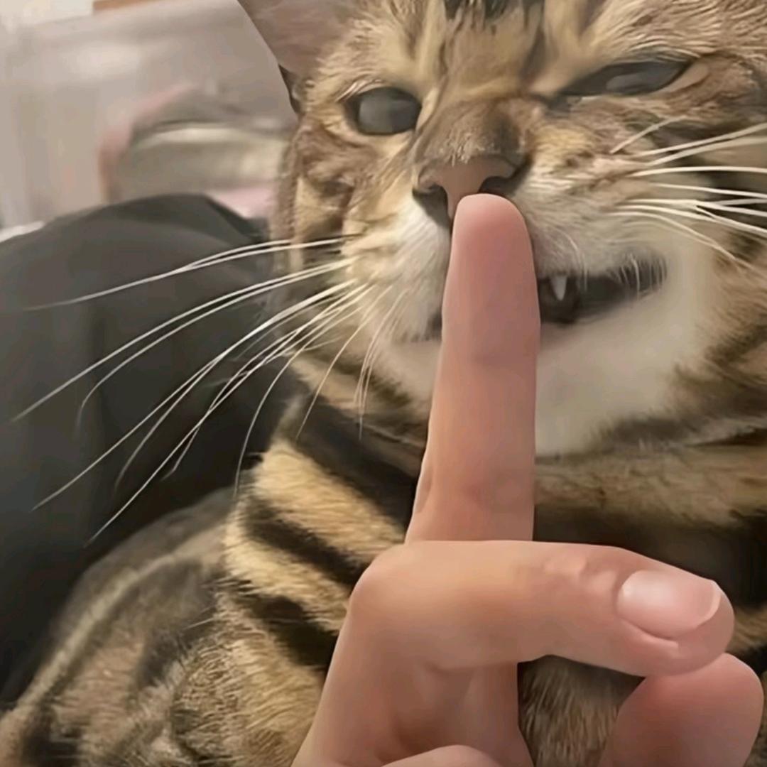 蜡笔小鑫