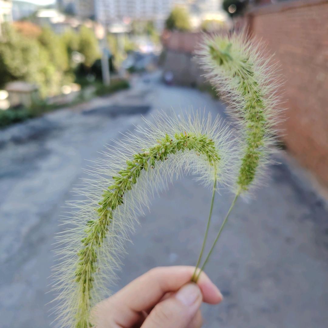 不发脾气只发财