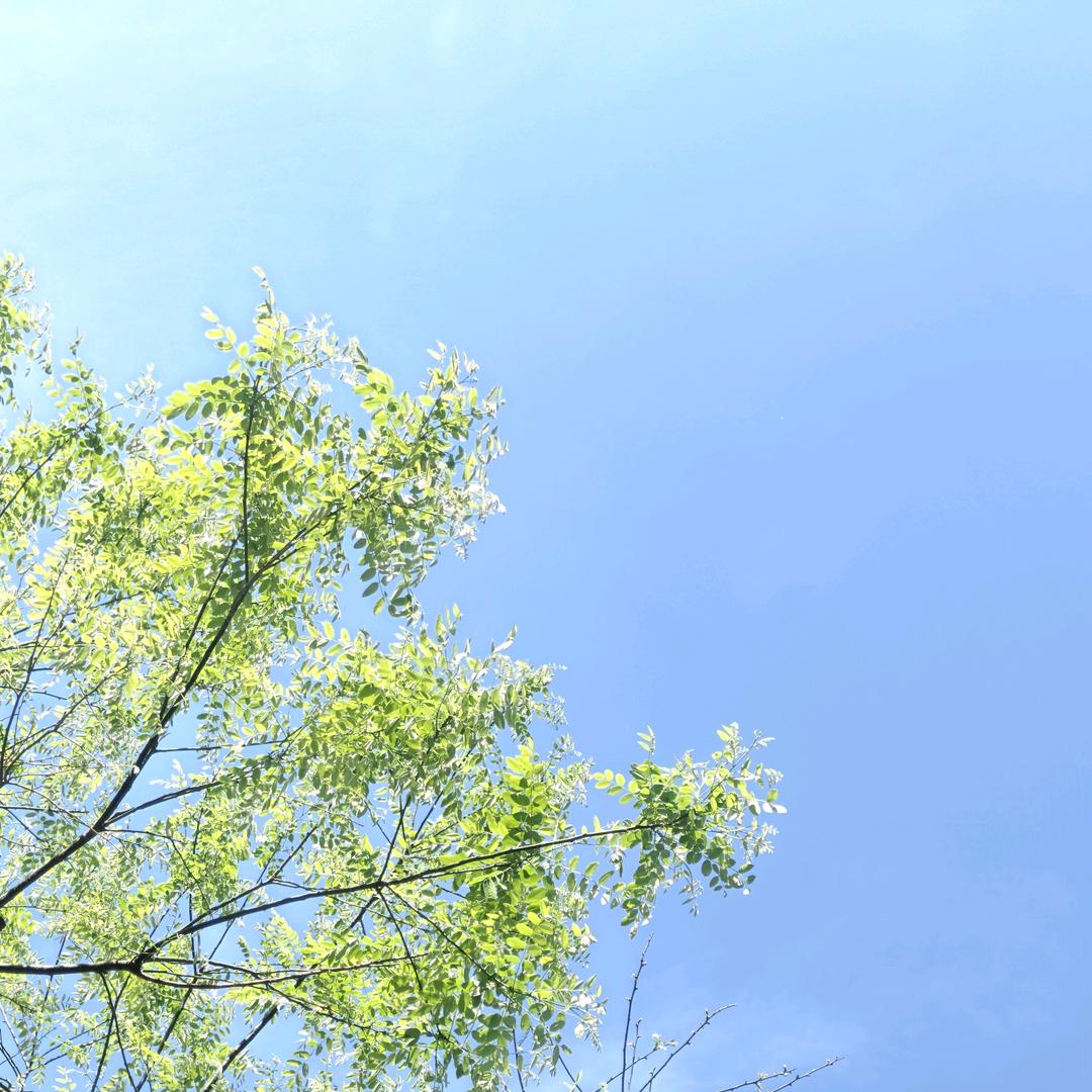 30℃↑