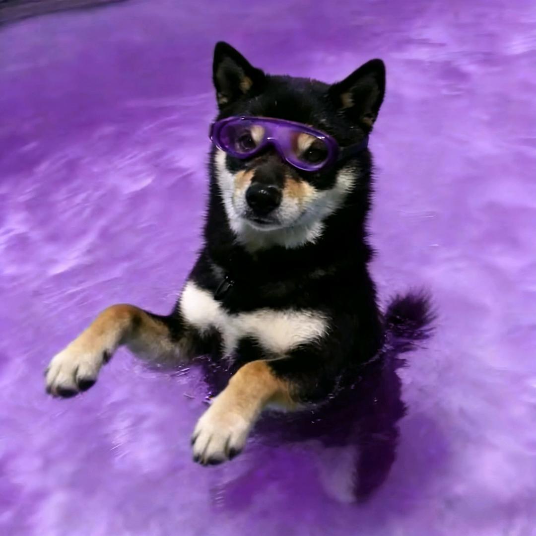 Manling蔓泠（见过单依纯版）