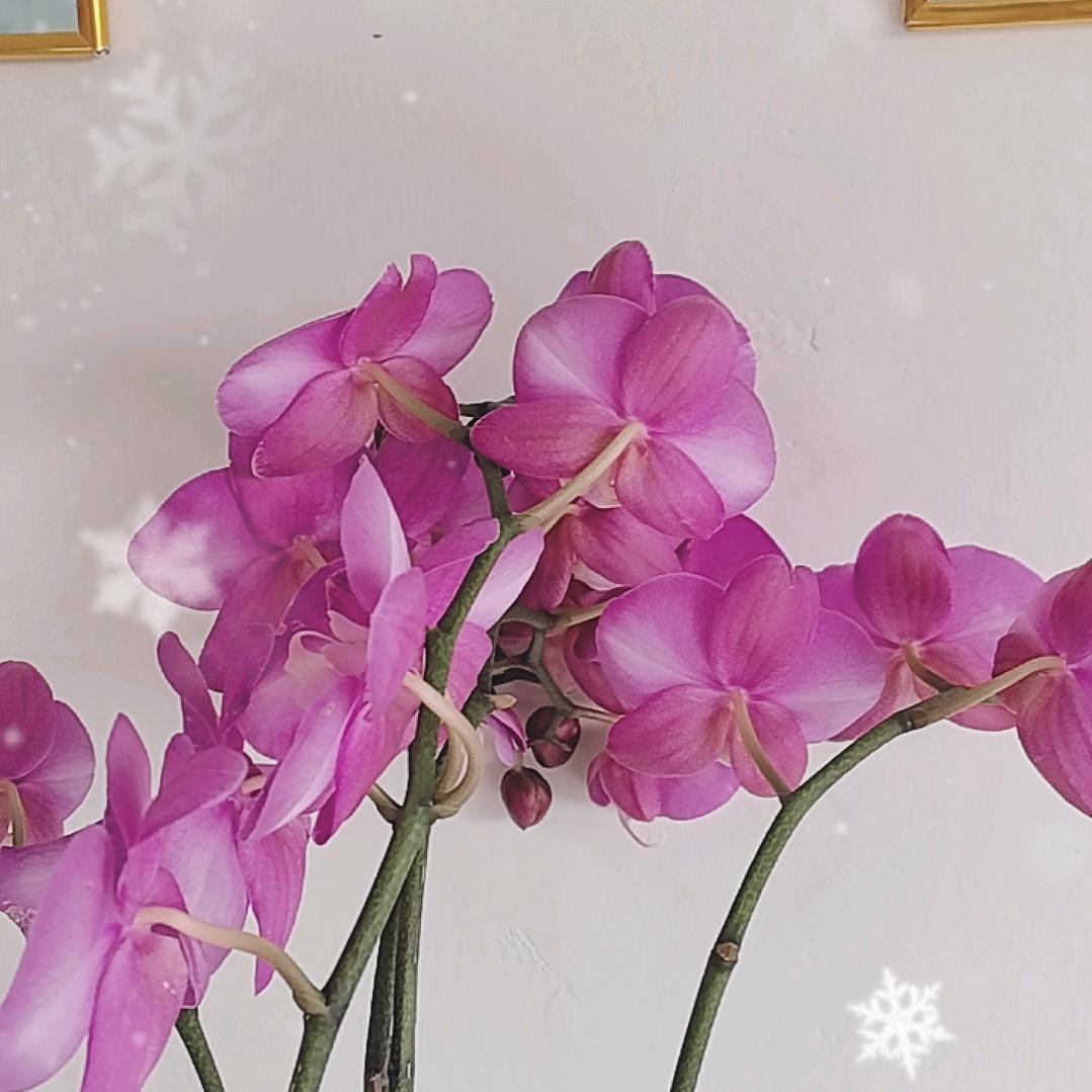 海门杨姐健康管理
