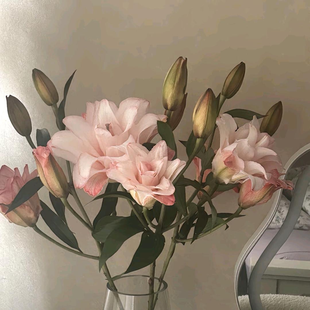 忘记过去