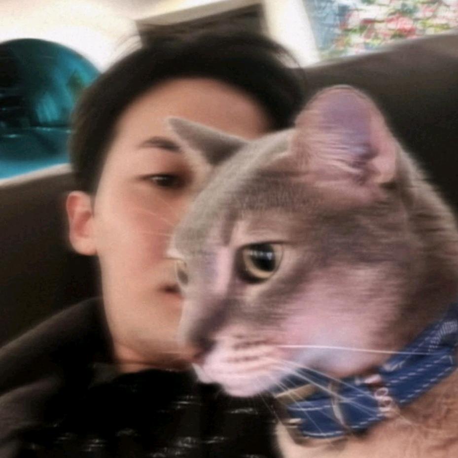 反方向的葱
