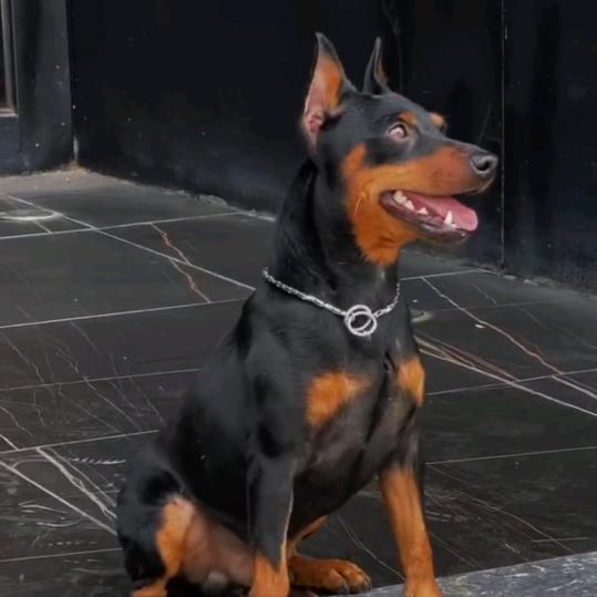 云南昆明伟哥迷你滨沙小筑