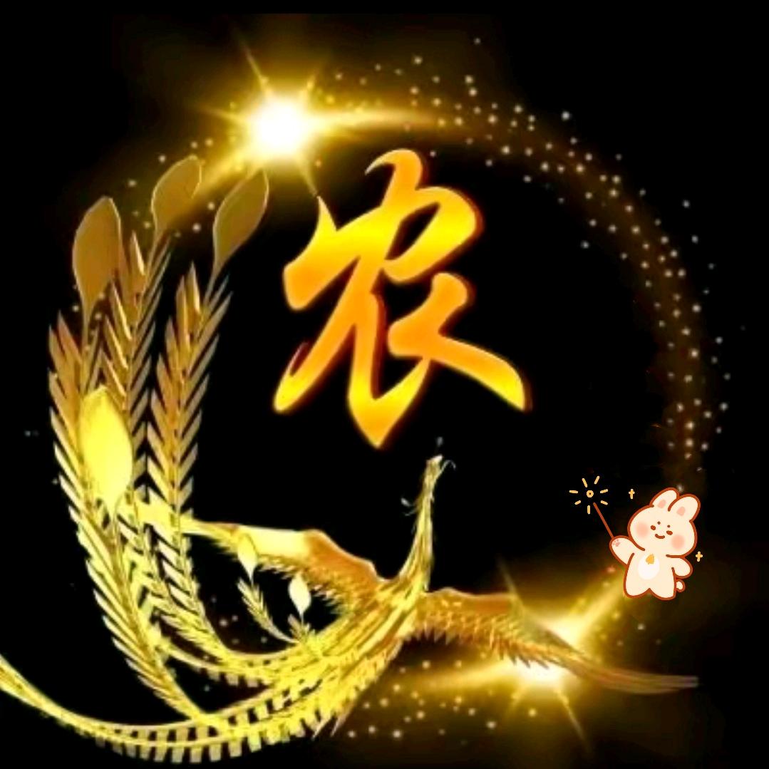 你若不伤，岁月无恙
