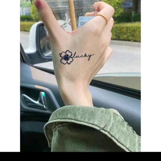 我你像风一样自由。