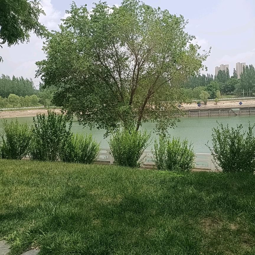 青春不褪色