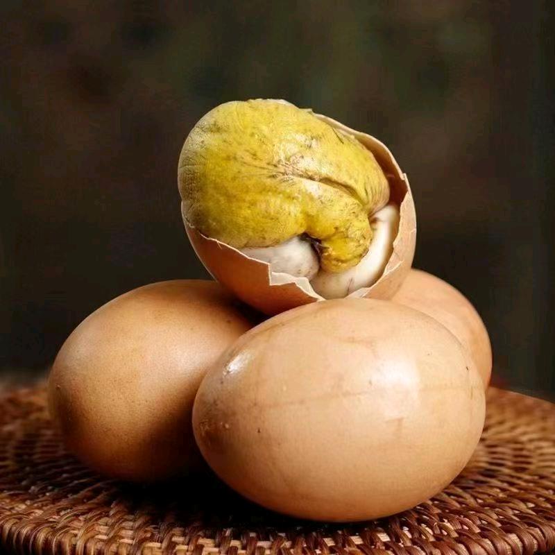 康味食品生活坊
