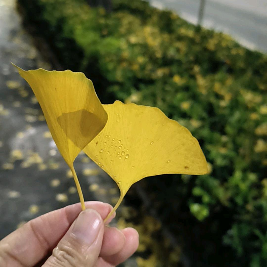 威信红星国际卖房小周