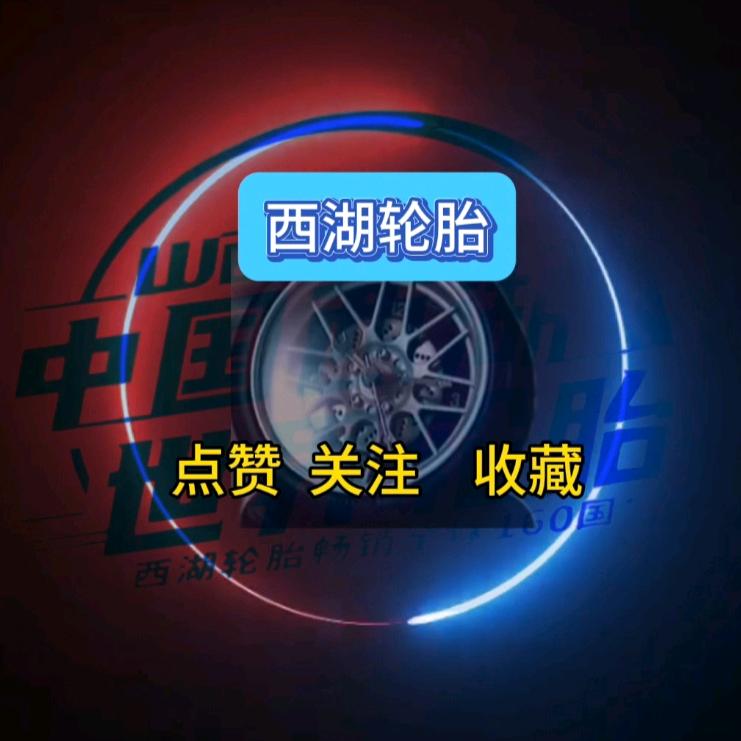 西湖轮胎(芦浦店)