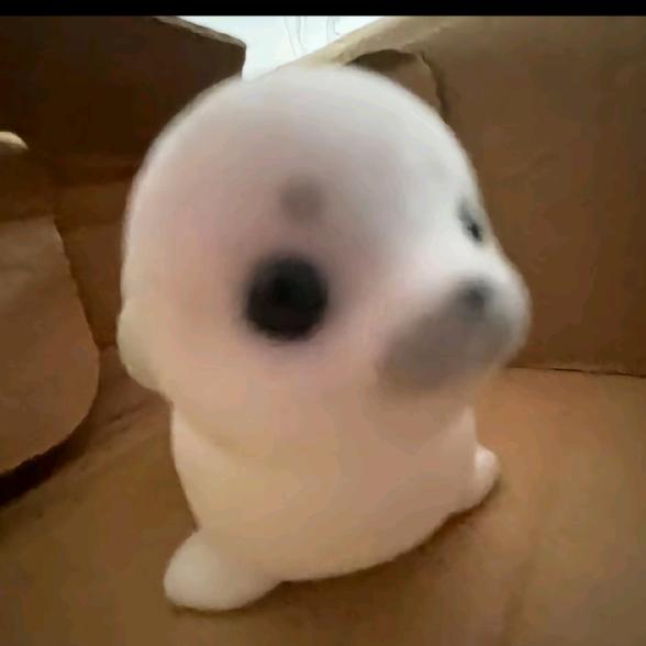 o^o玥