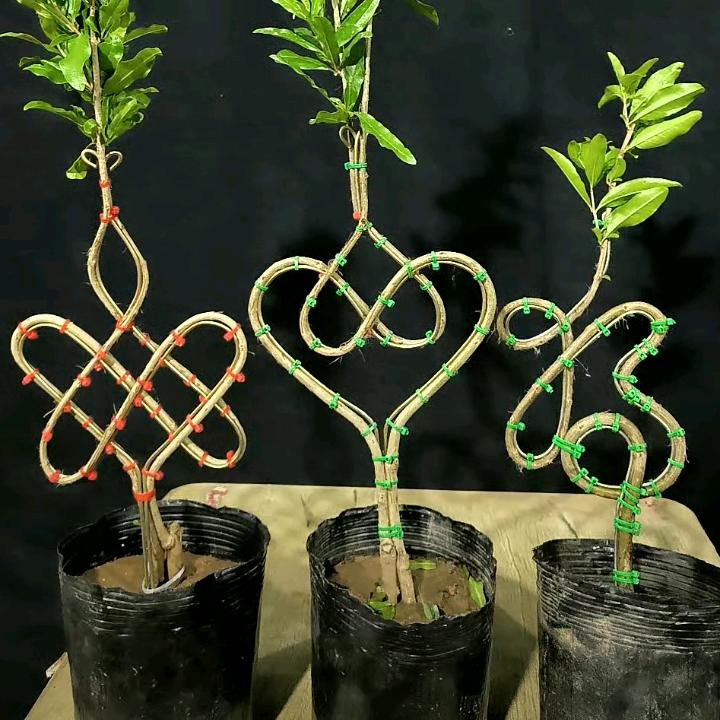 ༒༃甩༒༃༒哥༒༃