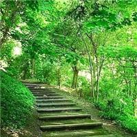 美好生活从自己做起