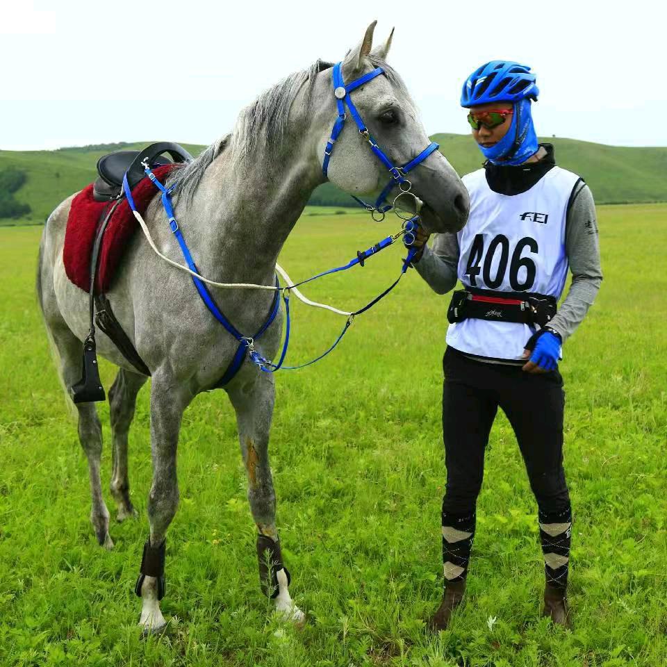 阿顺🐎（驯骑马会）