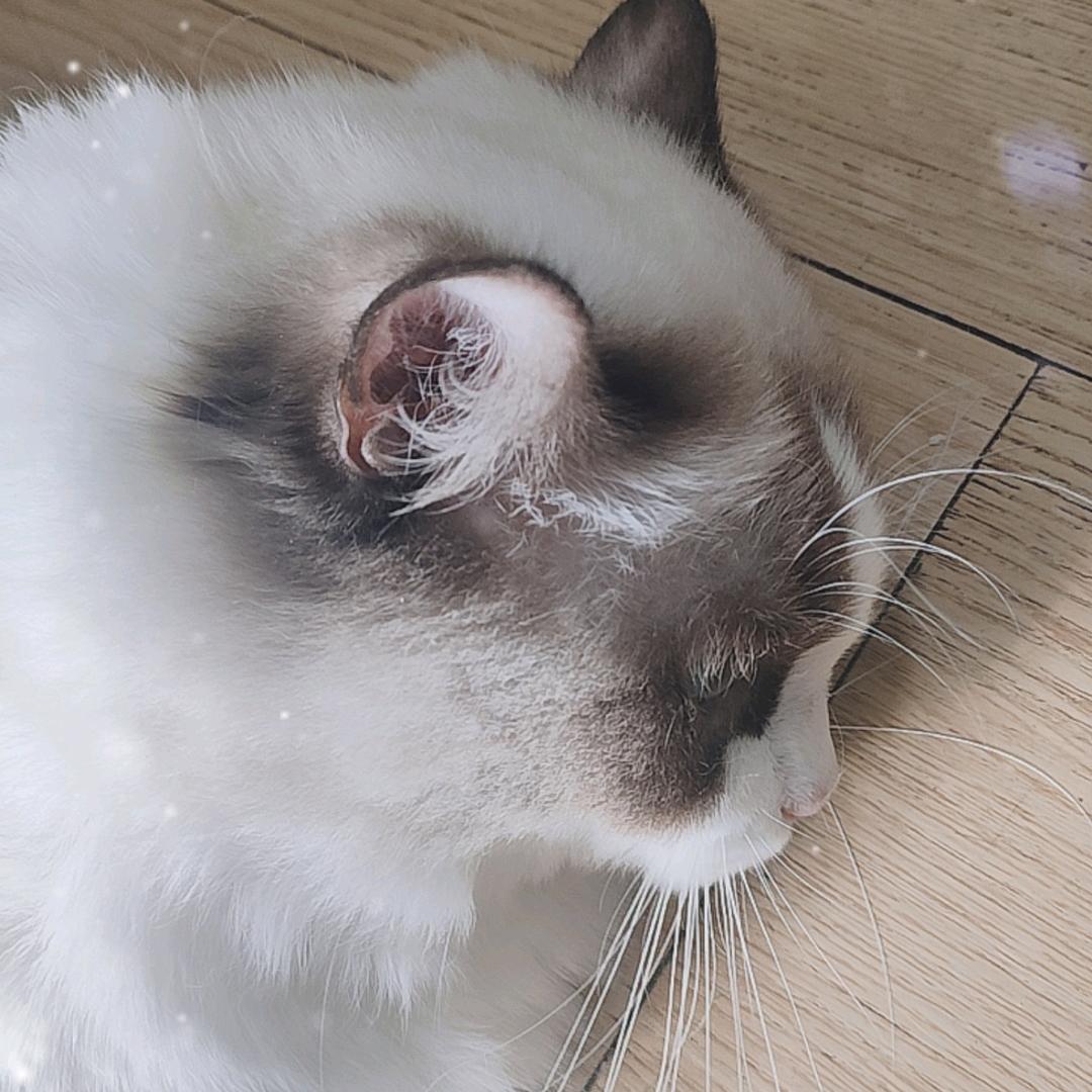滂臭臭