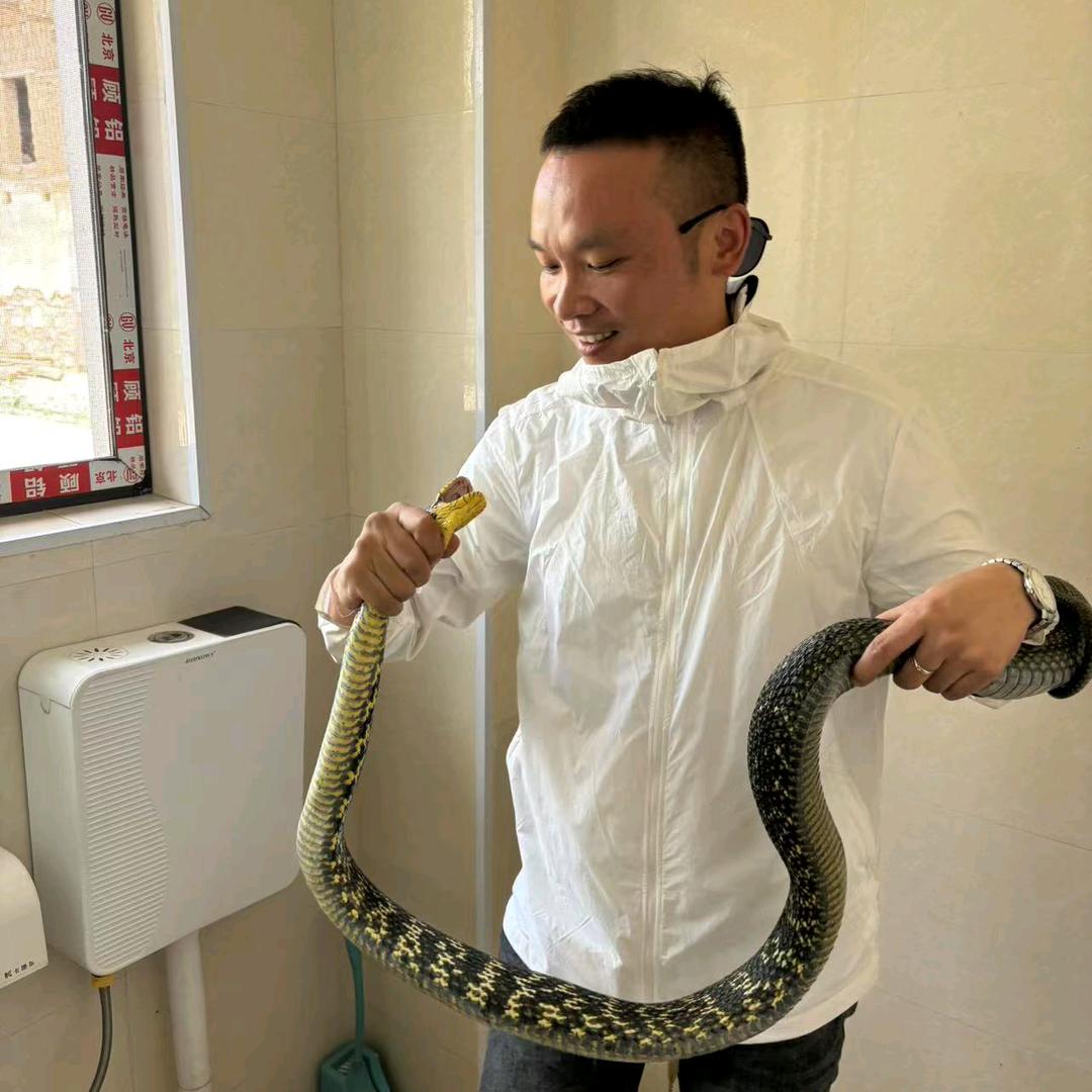 先生