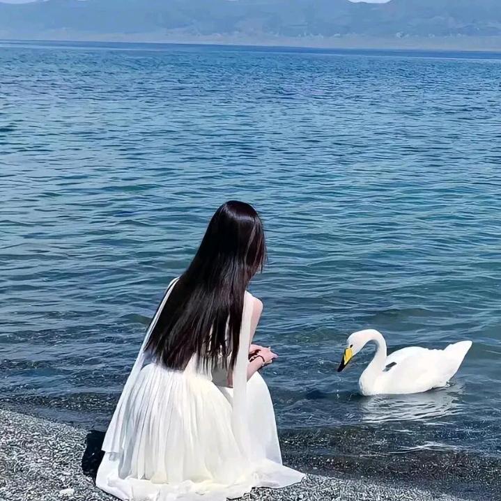 图    总   高手TS 理发