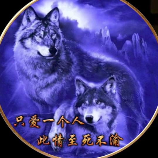 🦋郑少🦋怎会🦋爱上🦋野草🦋