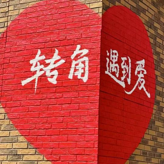 会抽烟的猫