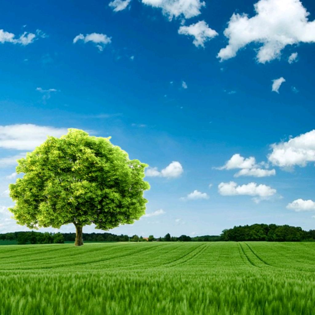 善缘堂（手工制作）