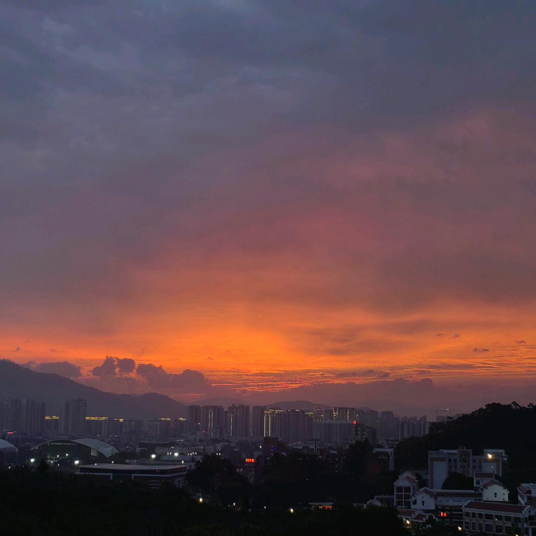 我不上岸谁上岸