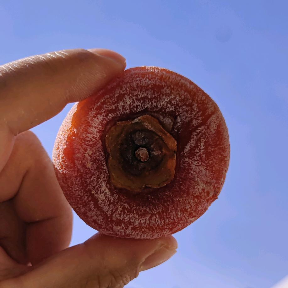 右手（抖委）🤜🤛